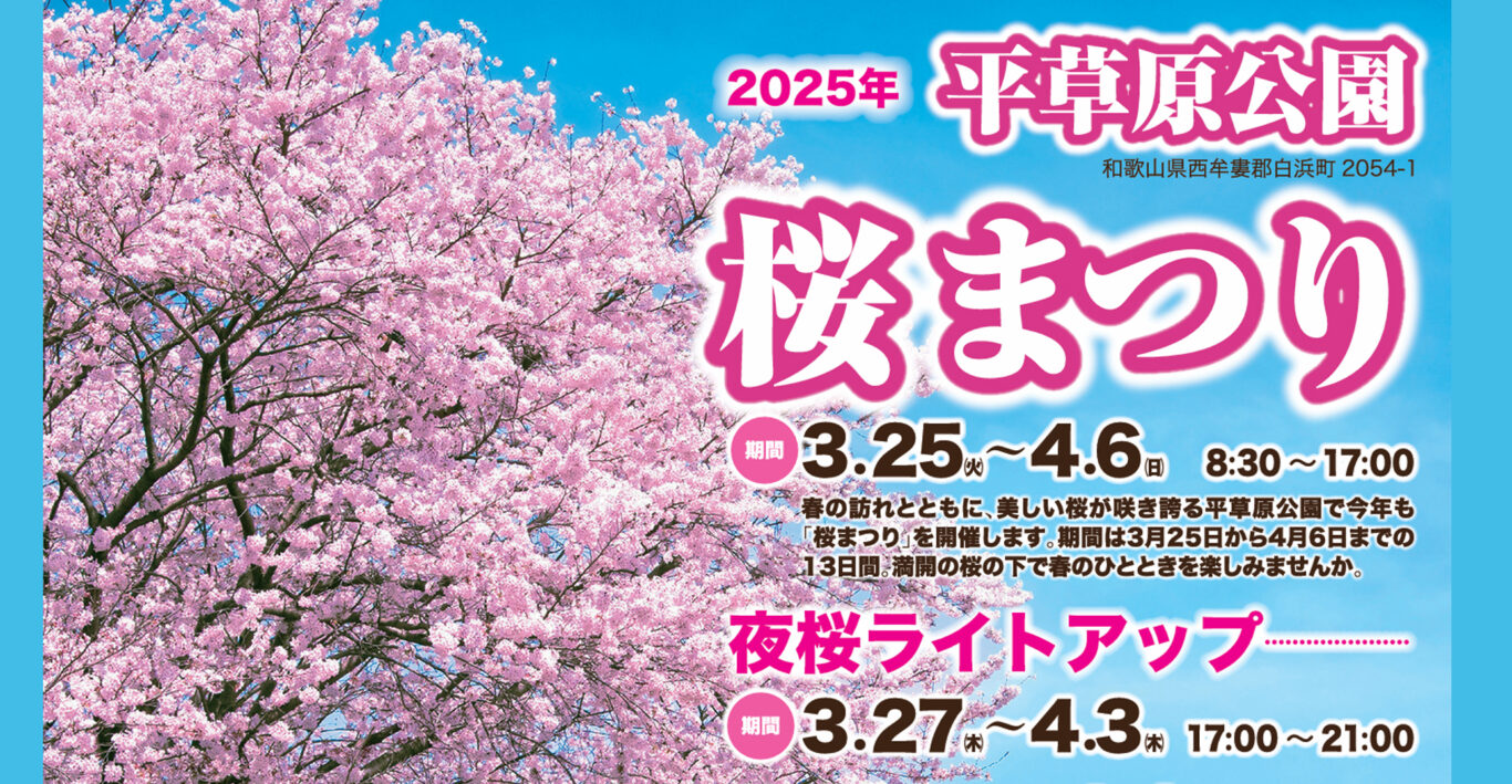 平草原公園桜まつり・夜桜ライトアップ - 南紀白浜観光協会