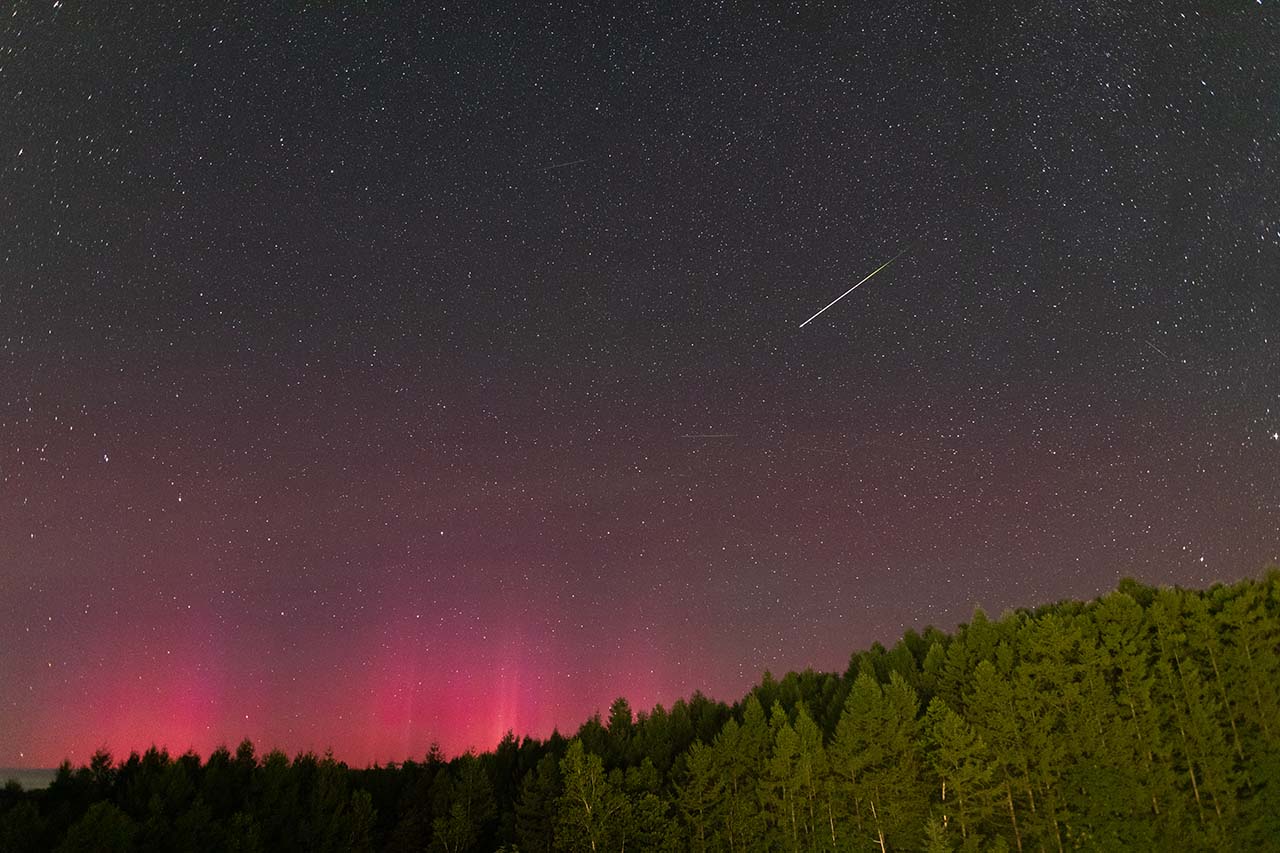 元気です！！毎日届く太陽からの便り—極大期を迎えた太陽— | 国立