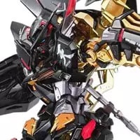 買取】1/100 MG ZGMF-X12A/RGX-00 テスタメントガンダム 「機動戦士