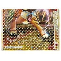 R団のライコウ ☆ [ポケモンカード☆VS] 094/141 買取 | ポケモン