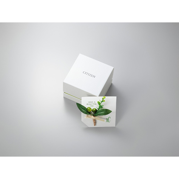 xC hikari collection KEIKO KITAGAWA Limited Model 光発電エコ