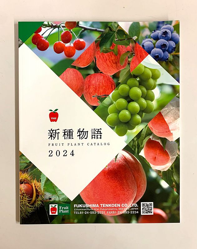 福島天香園】最新カタログ2024年度版を無料進呈しています（ふくしま