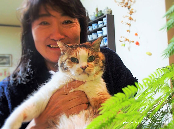 里山の三毛猫・キクとミケタ│フェリシモ猫部