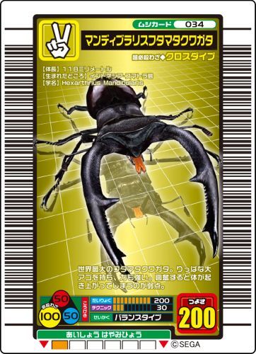 甲虫王者ムシキング」 アクリルブロックコレクション BOX グッズ - Neowing