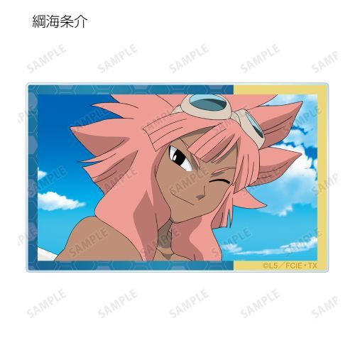 イナズマイレブン トレーディング 場面写アクリルカード 脅威の侵略者