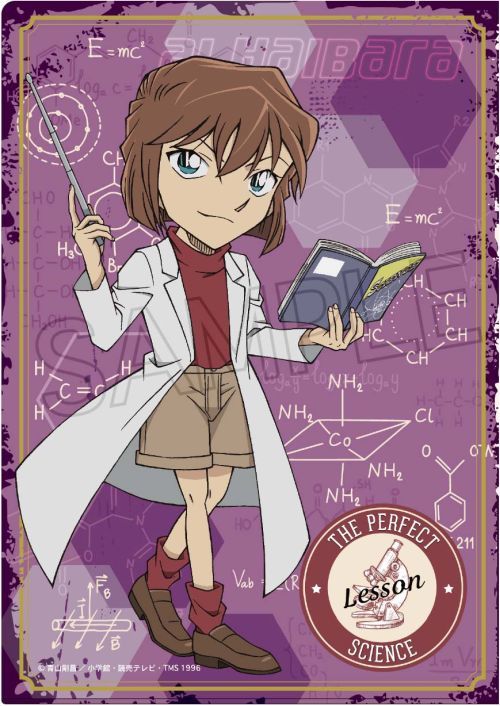 名探偵コナン レッスンタイム クリアファイル 江戸川コナン & 灰原哀