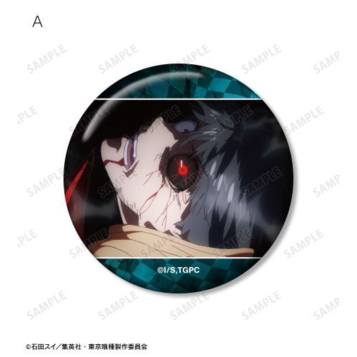 TVアニメ 『東京喰種 トーキョーグール』 金木研 場面写 缶バッジ 5個