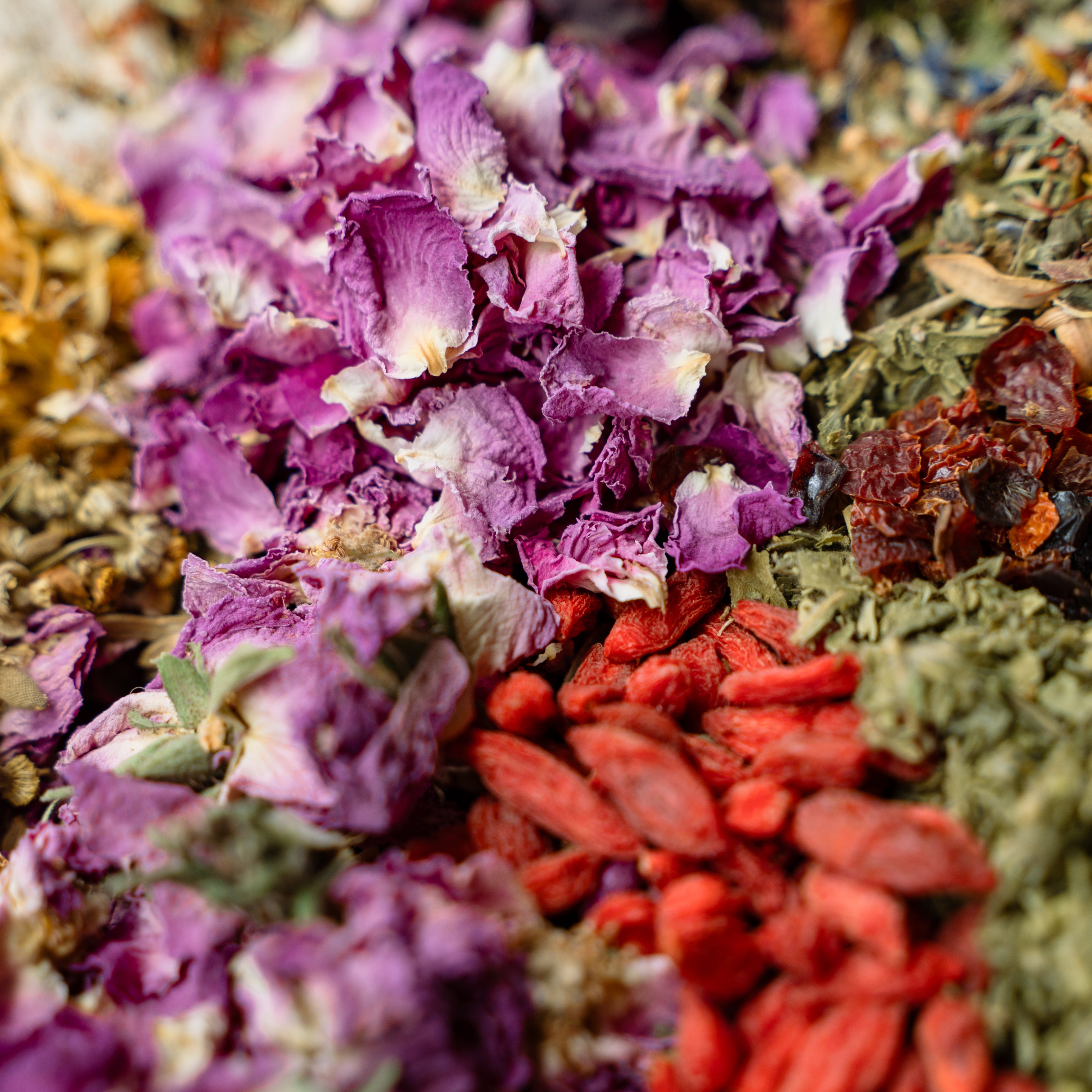 ニュース | NeRoLi herb