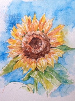 NHK文化センター｜好奇心の、その先へ NHKカルチャー