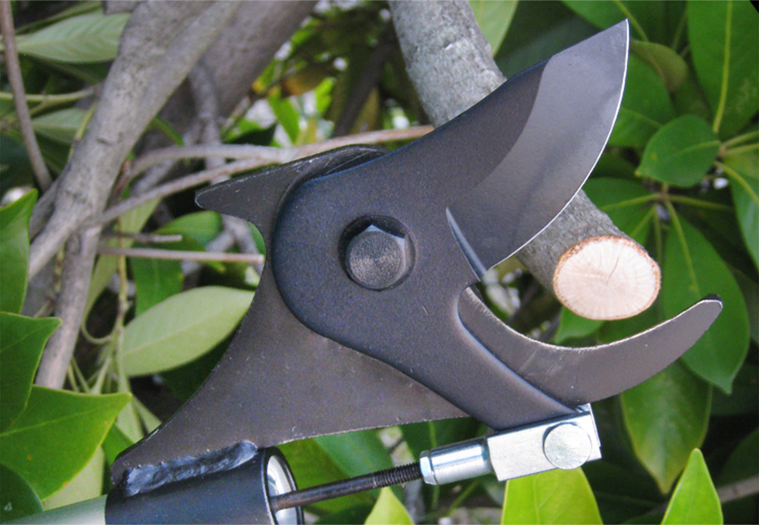 ニシガキ工業株式会社 / 太丸充電S用替刃