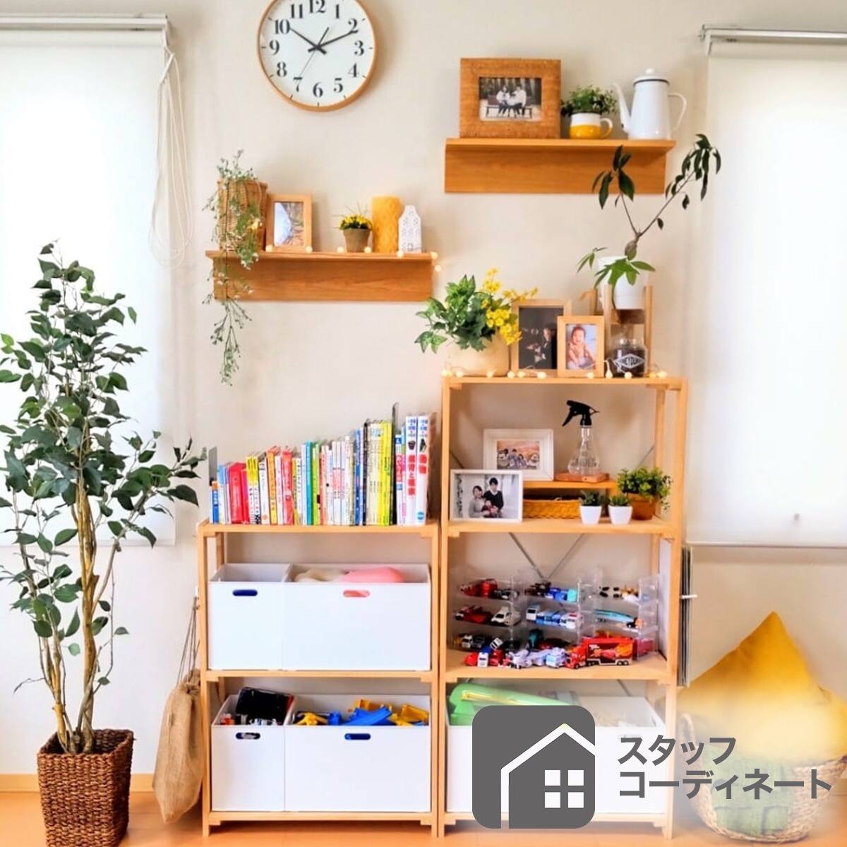 パインラック マンクス6230(1段) | ニトリネット【公式】 家具