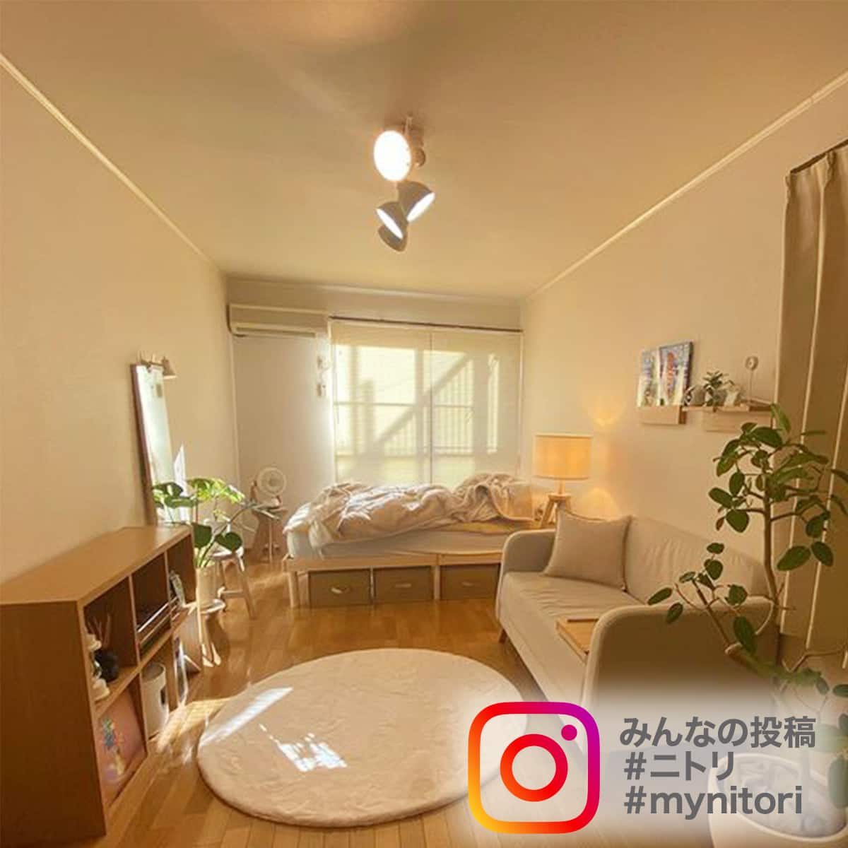 シーリングライト メストロ4RC(ブラック) | ニトリネット【公式】 家具