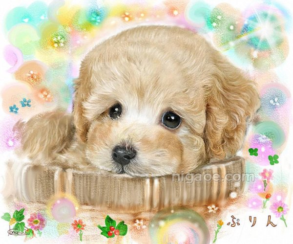 ペット似顔絵(フレームなし)