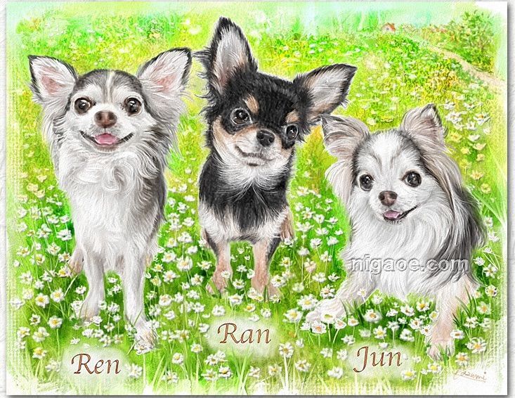 ペット似顔絵(フレームなし)