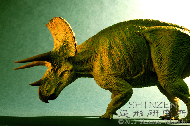 SHINZEN's Home Page (tricera2010)