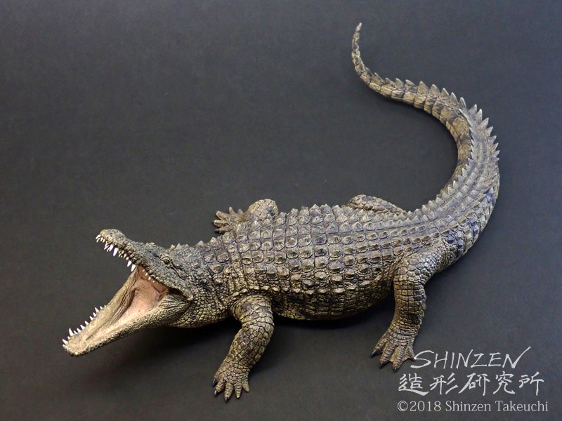 SHINZEN's Home Page (nilecrocodile)