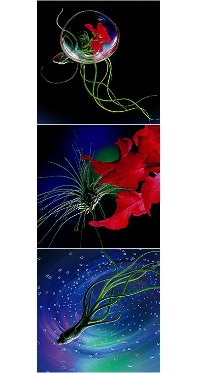 第63回二科会写真部展 – 一般社団法人二科会写真部