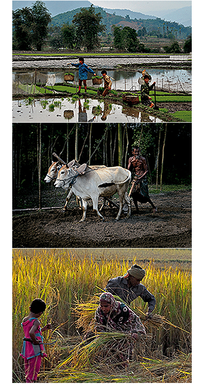 第63回二科会写真部展 – 一般社団法人二科会写真部