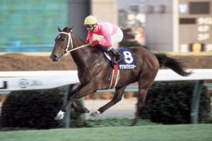 日刊競馬で振り返るGI - 1994年スプリンターズステークス