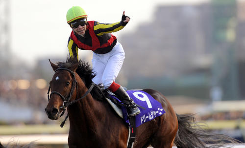 有馬記念】枠順抽選会ここに注目！ 00年以降の最高勝率馬番は？ - 競馬