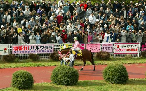 復刻】ハルウララに武豊騎手が騎乗「これほどとは…」前代未聞の
