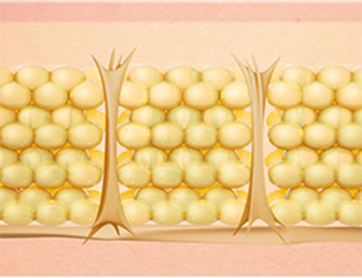 クリーム レボリューション B-1789＜スペシャルケアクリーム＞ | 洗顔