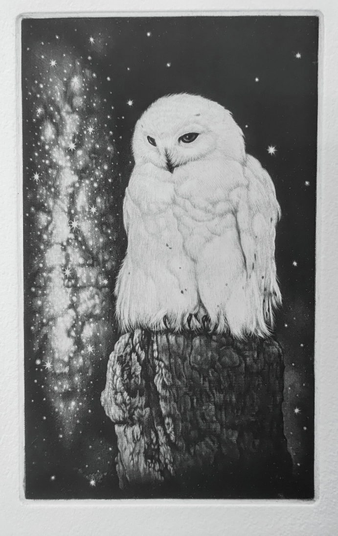 生田宏司銅版画展 2021年3月20日(土) 〜 2021年3月28日(日) | 福岡