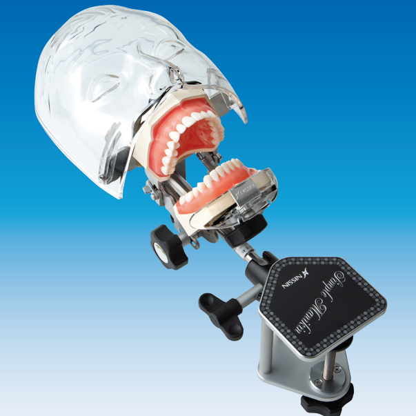 シンプルマネキンⅢ｜株式会社ニッシン｜歯科模型・歯科材料のトップ