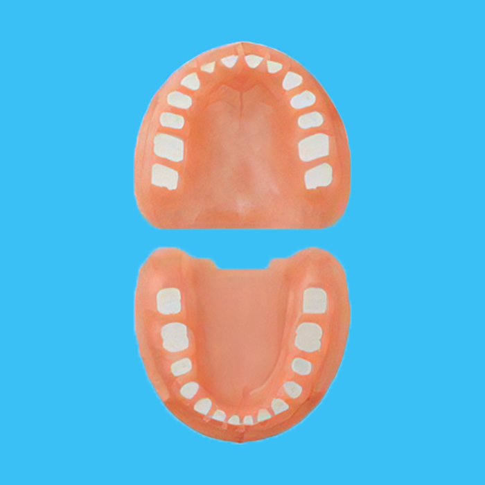 交換用パーツ｜株式会社ニッシン｜歯科模型・歯科材料のトップメーカー