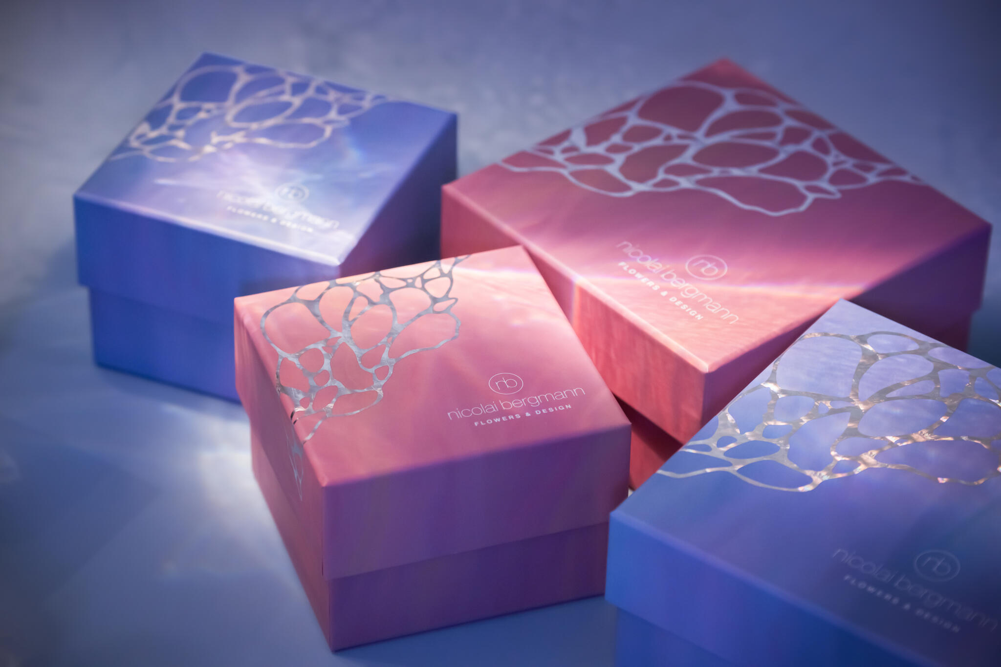 サマーコレクション 2024 夏の新作