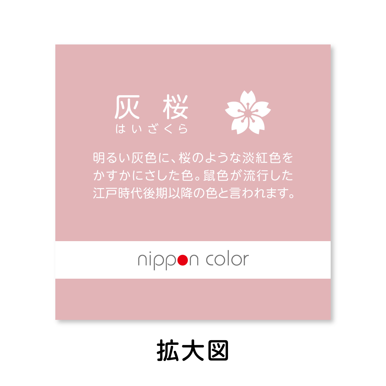 灰桜（はいざくら）｜扇子｜うちわ・扇子｜商品を探す｜新日本