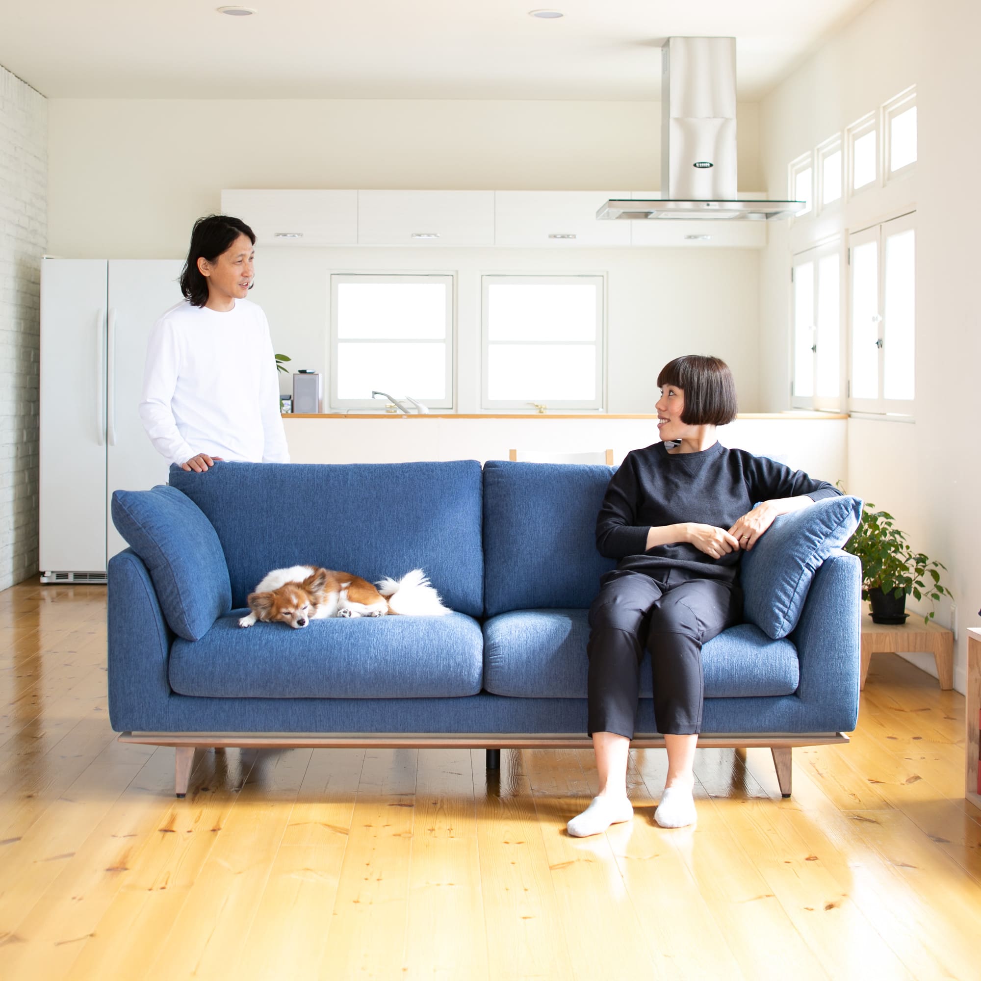 Cervo X5 3人掛け」 製品詳細ページ | 国産ソファブランド NOYES