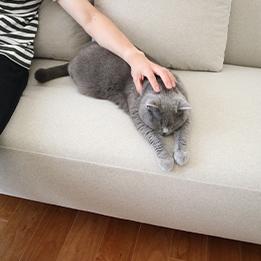 3人掛けソファを探す：カバーリングソファから探す | 日本を代表する