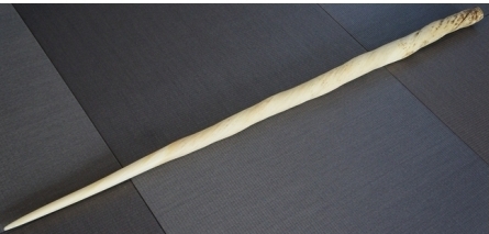 イッカククジラ牙（一角鯨）ウニコールの高価買取・査定・無料出張買取