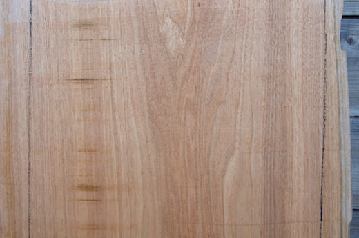 クルミとウォールナットは違う樹種？ クルミの耳つき板を削ってみた