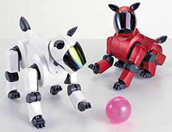 News and Information 