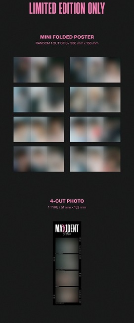 MAXIDENT (GO ver. 限定盤)[韓国輸入盤]・Stray Kids | Sony Music