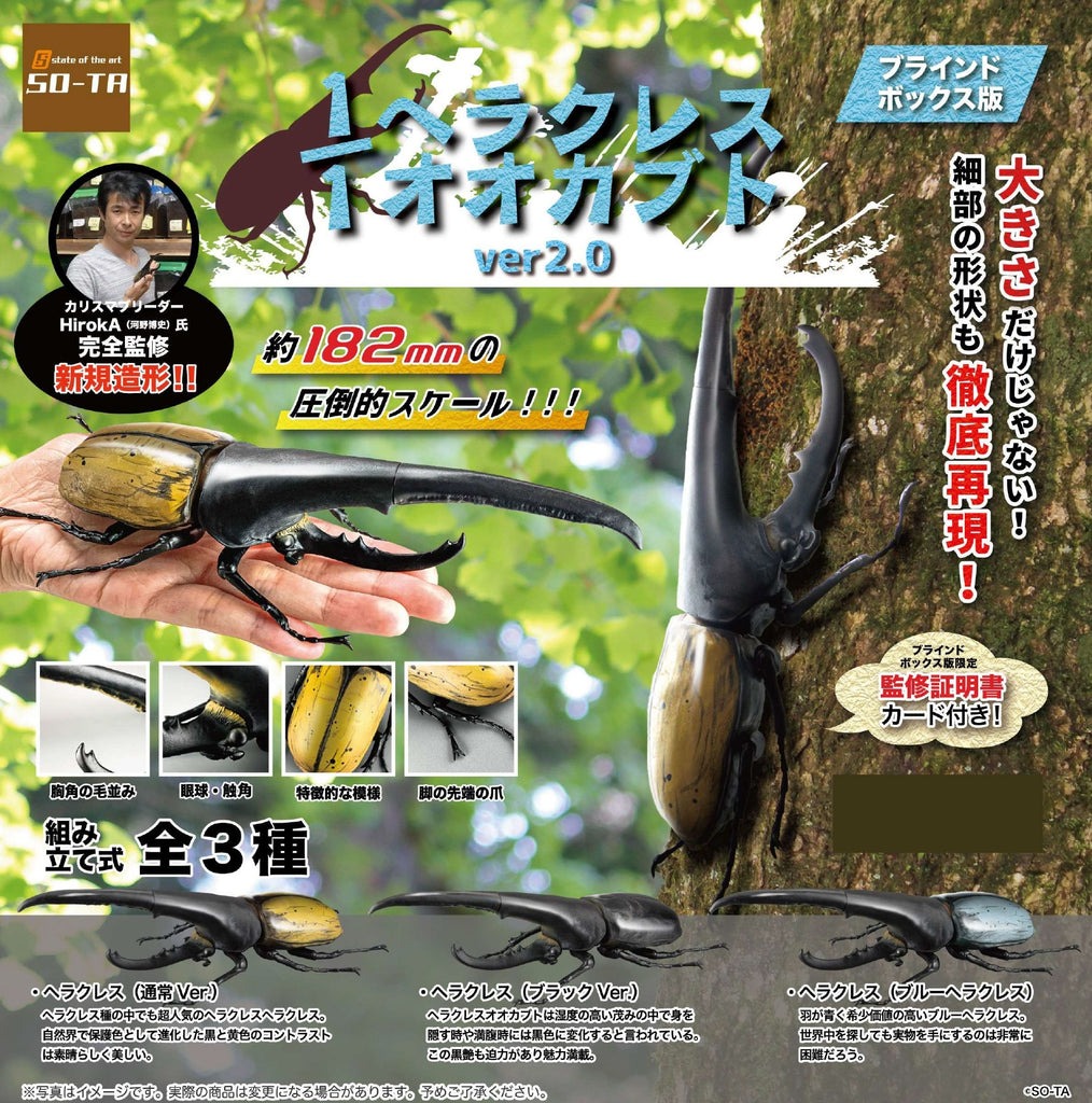 4582361786824_1024x1024.jpg?v=