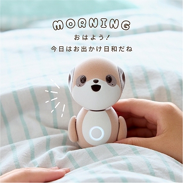 コンパニオンロボット ポケとも SR-C01M-W｜の通販はソフマップ[sofmap]