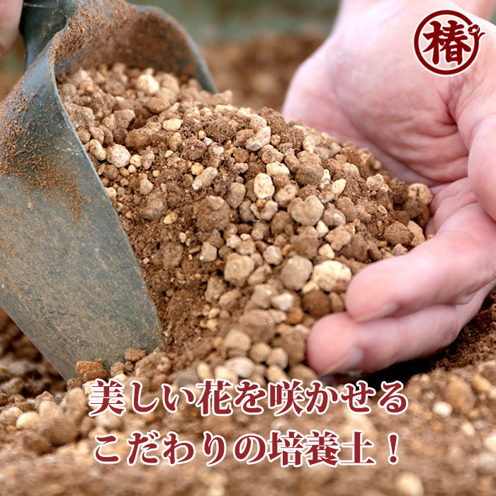 椿園オンラインショップ / 雪燈籠・ゆきどうろう