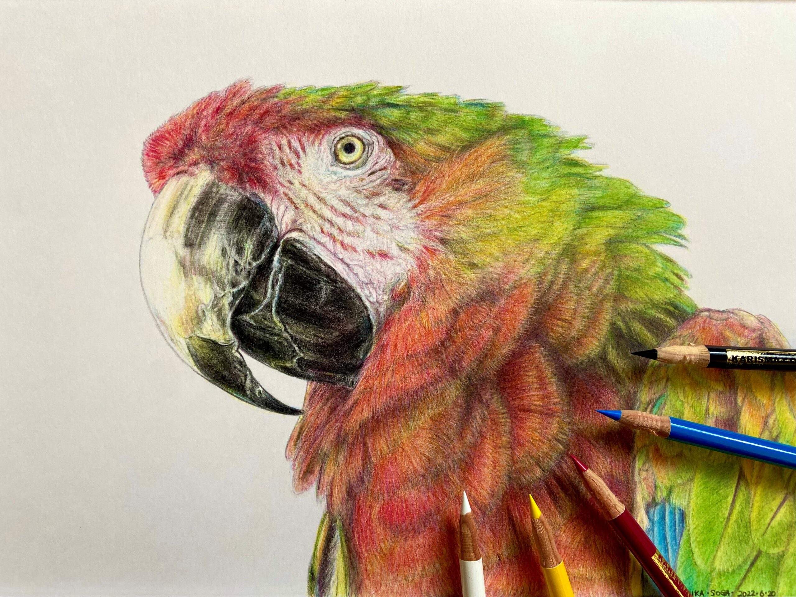 はじめての色鉛筆画 第2(火) ＃体験OK – 静岡朝日テレビカルチャー