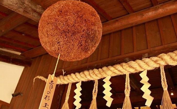 酒蔵にある杉玉、どんな意味？杉玉の意味や由来について - 酒みづき