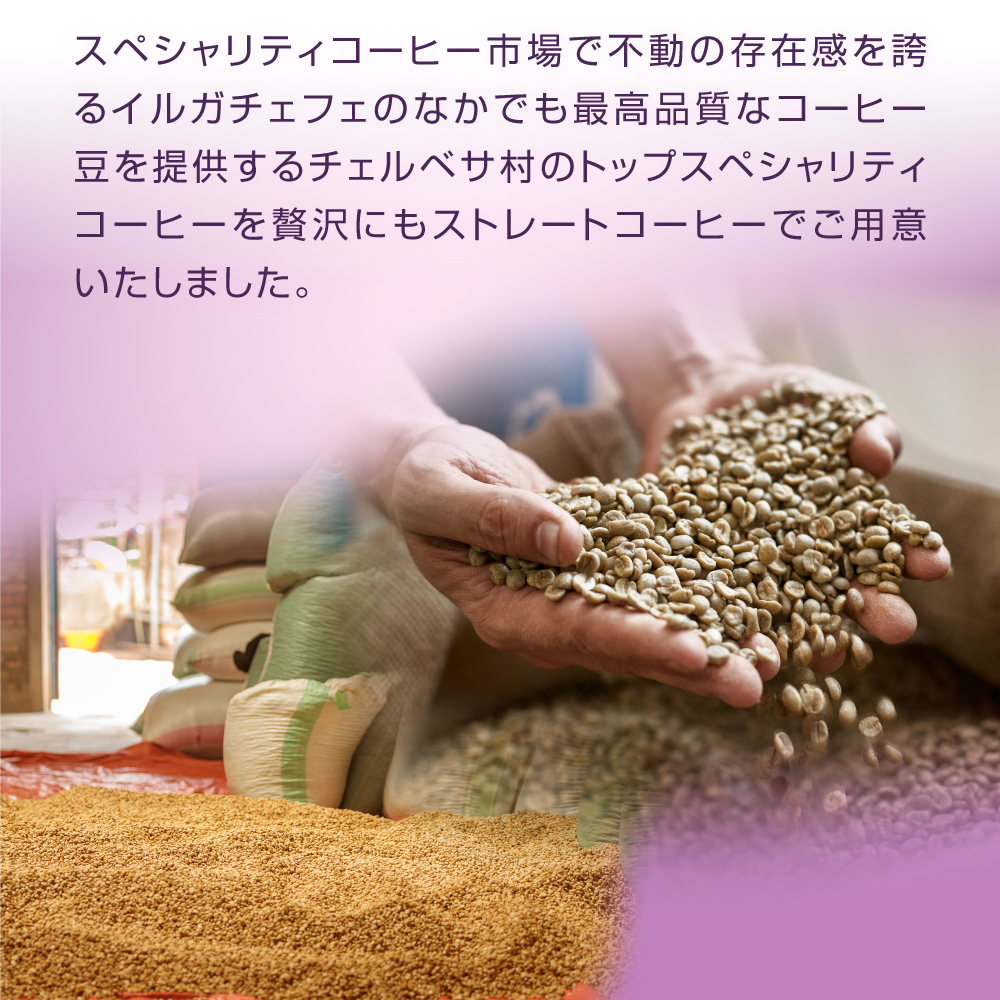 甘く芳醇なエリーゼプレジデント ドリップバッグ 30杯入り セット