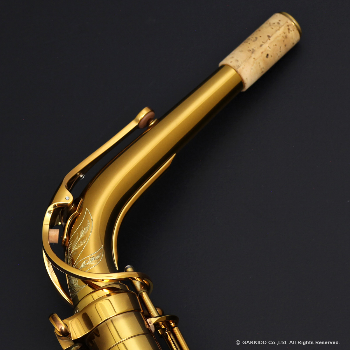 H.SELMER Reference Alto Sax HUMMINGBIRD Collectors Edition Dark