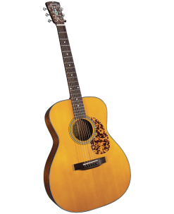 Blueridge | Saga Musical Instruments