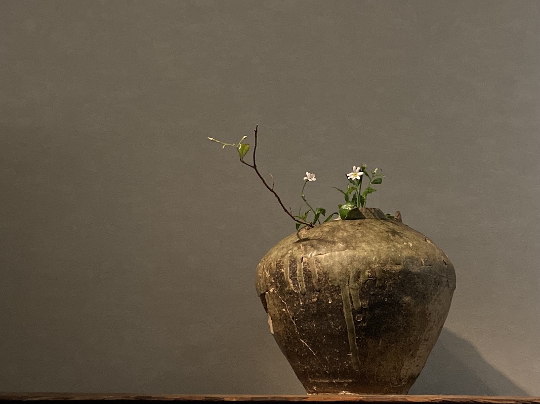 古美術 綵花堂｜Information | 綵花堂