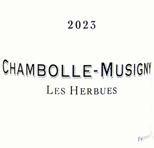 12月（2024年）の入荷アイテム / 森田屋商店 MORITAYA