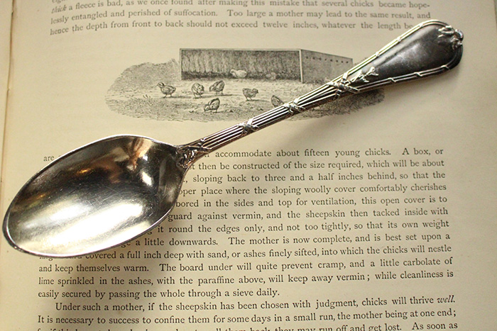 アンティークシルバープレートディナースプーンELKINGTON | 雑貨と