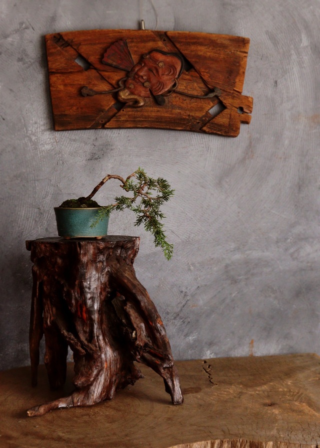 古木花台 珪化木 花台 根瘤 古玩 古材 盆栽台 飾り台 Antique Sam's