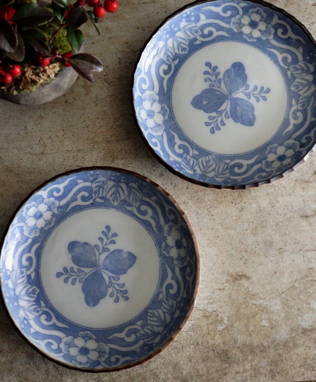 染付印判桐図16cmイゲ皿 5枚組 取り皿 盛皿 中皿 プレート イゲ皿